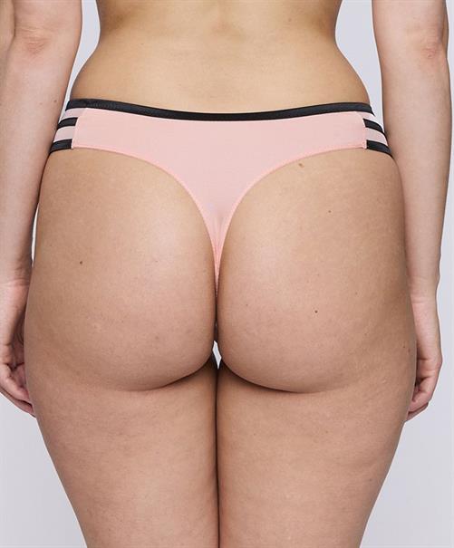 PrimaDonna String Eraclea