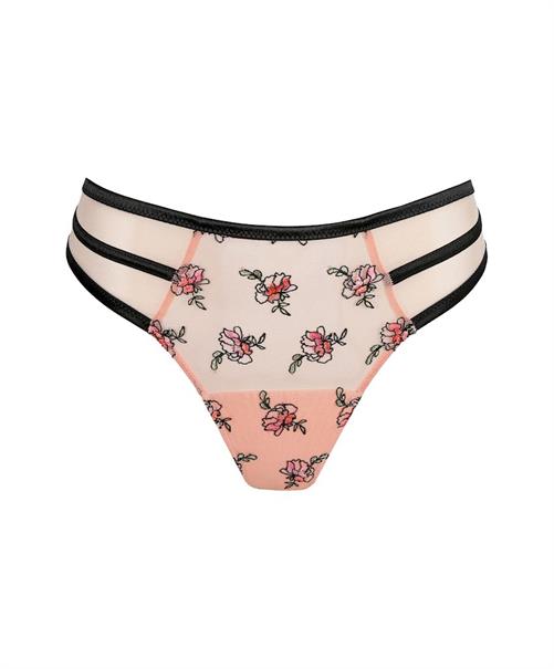 PrimaDonna String Eraclea