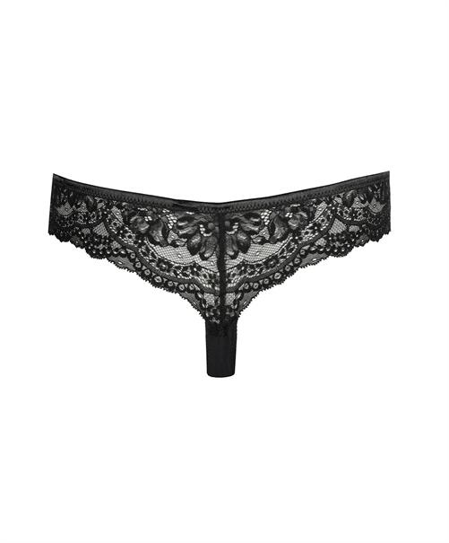 PrimaDonna String Shimla