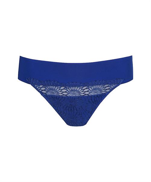 PrimaDonna String Sophora