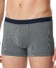 Schiesser Boxer Duality Function