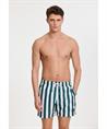 Shiwi Zwemshort Mike Broad Stripe