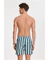 Shiwi Zwemshort Mike Broad Stripe