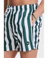 Shiwi Zwemshort Mike Broad Stripe