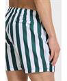 Shiwi Zwemshort Mike Broad Stripe