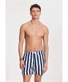 Shiwi Zwemshort Mike Broad Stripe