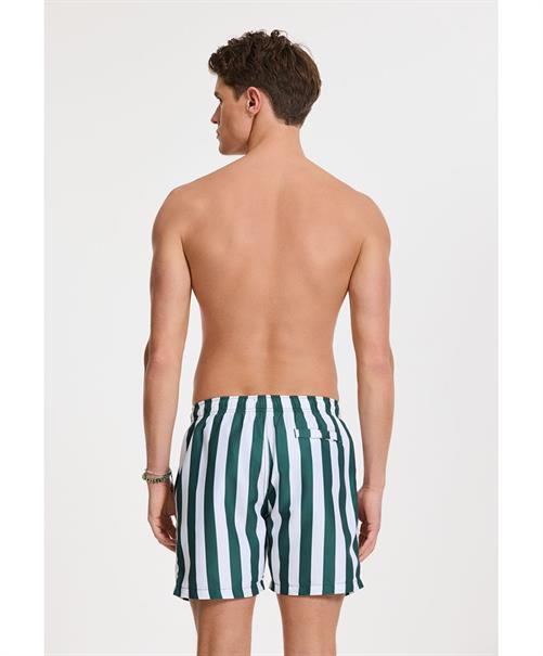 Shiwi Zwemshort Mike Broad Stripe