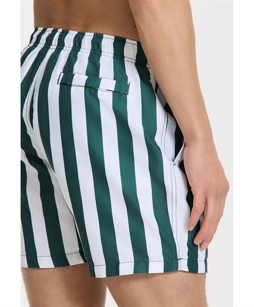 Shiwi Zwemshort Mike Broad Stripe