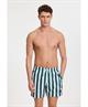 Shiwi Zwemshort Mike Broad Stripe