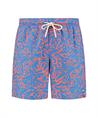 Shiwi Zwemshort Mike Starfish