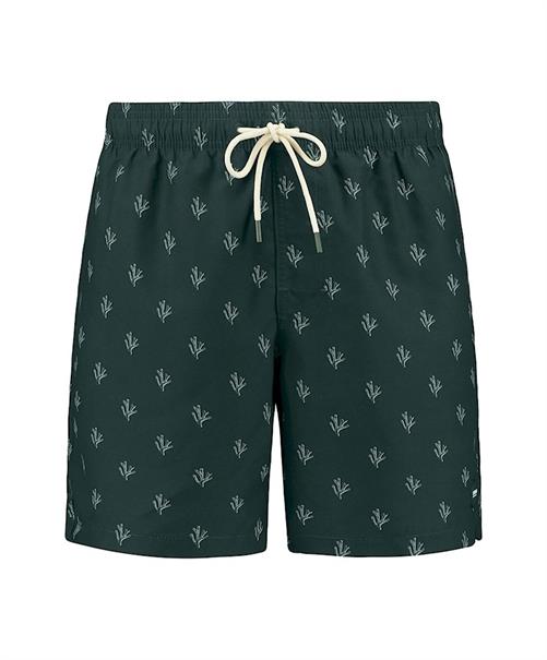 Shiwi Zwemshort Mike