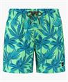 Shiwi Zwemshort Palm Leaves