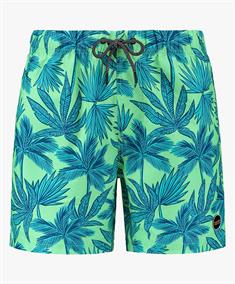 Shiwi Zwemshort Palm Leaves