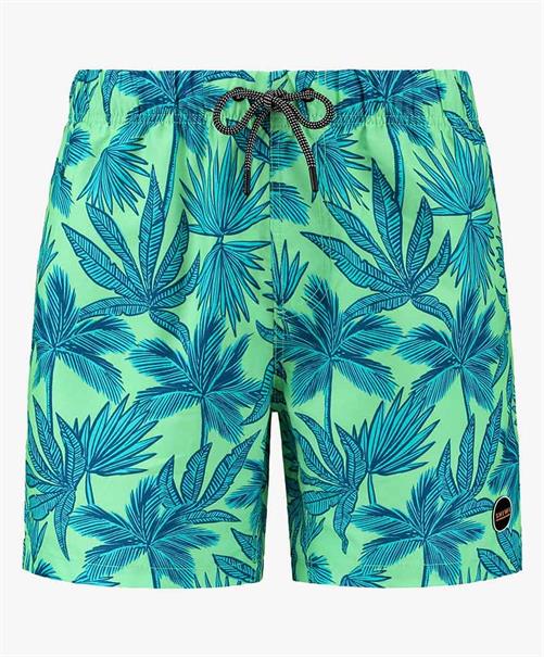 Shiwi Zwemshort Palm Leaves
