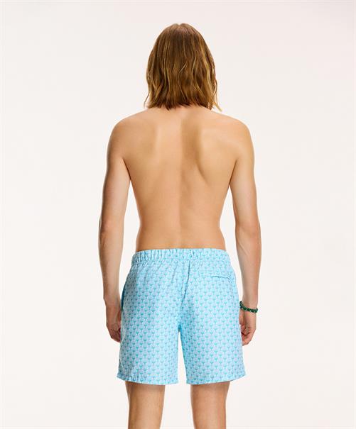 Shiwi Zwemshort Sea Shell