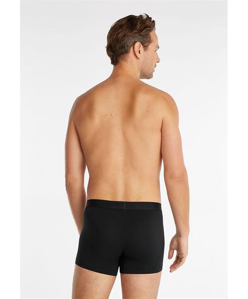 ten Cate Boxer Super Soft 3-Pack
