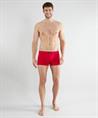 Tom Tailor Boxer Colorado 3-Pack