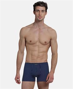 Tom Tailor Boxer Gestreept