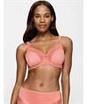 Triumph Beugel BH Ladyform Soft W X