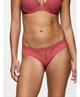 Triumph Brazilian Slip Aura Spotlight