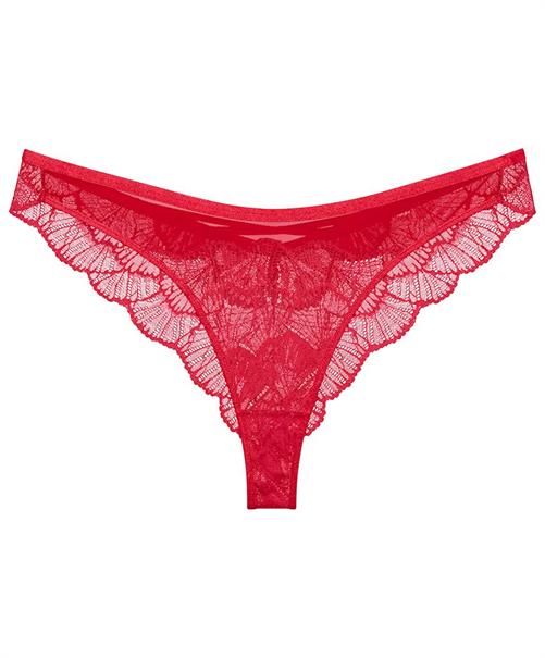 Triumph Brazilian Slip Palina Moonlight Kiss