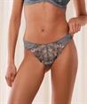 Triumph Highleg Brazilian Slip Sensual Spotlight
