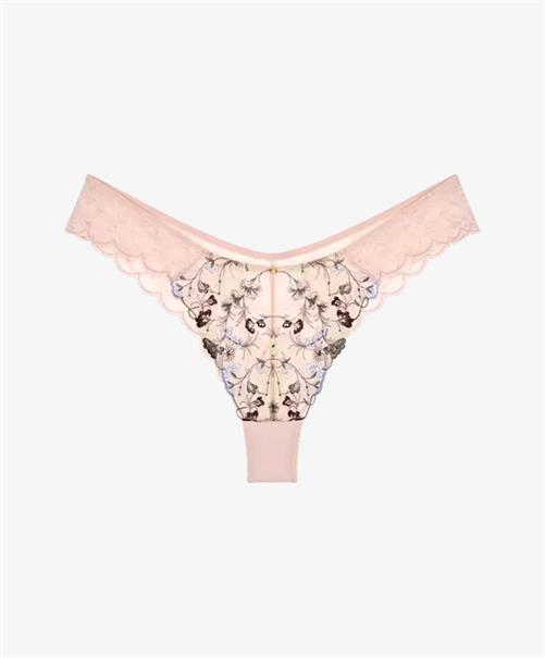 Triumph Highleg Brazilian Slip Sensual Spotlight