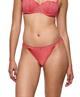 Triumph Highleg Tai Slip Crazy Stupid Love