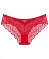 Triumph Hipster Palina Moonlight Kiss
