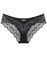 Triumph Hipster Palina Moonlight Kiss