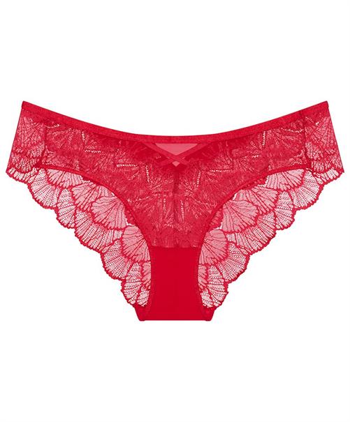 Triumph Hipster Palina Moonlight Kiss