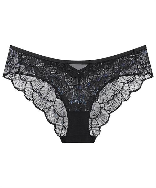 Triumph Hipster Palina Moonlight Kiss
