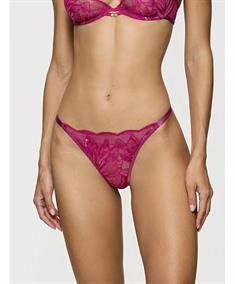 Triumph String Crazy Stupid Love
