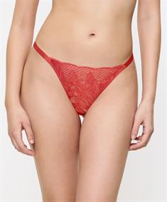 Triumph String Crazy Stupid Love