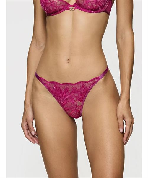Triumph String Crazy Stupid Love